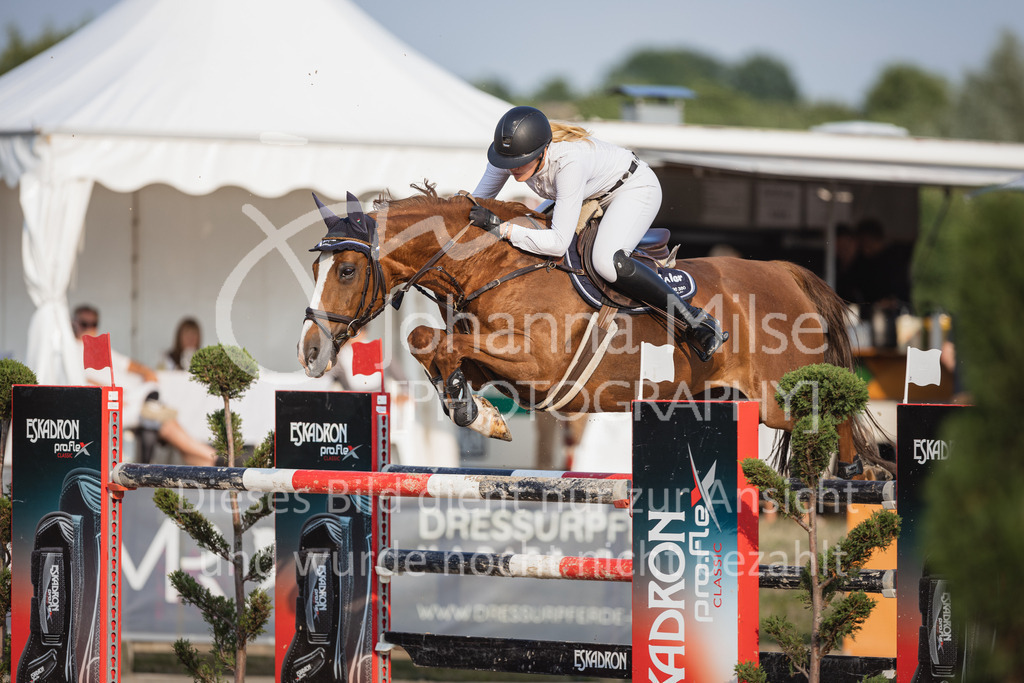 230624_PfSpTa_GroßerPreis-263 | Deine schönsten Turniermomente als professionelle Fotos! Entdecke hochwertige Pferdesport-Fotografie im Online-Shop. Jetzt Fotos finden & bestellen!