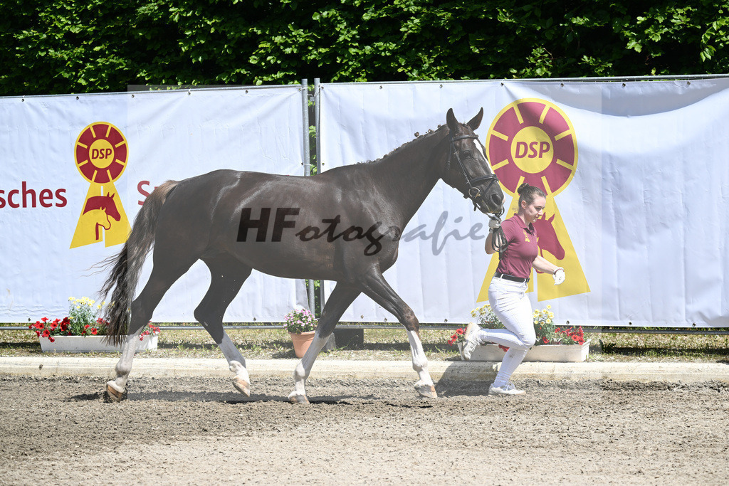 Kat-Nr. 37 HF Cero Blue N_Maier_12231058 | hf-fotografie - Realizzato con Pictrs.com