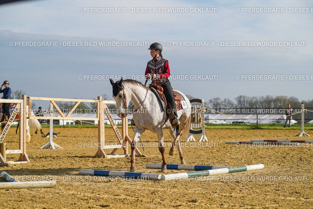 DSC00865 | Pferdegrafie