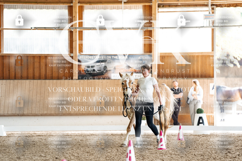 CK908575 | Turnierfotografie Pferdefotografie Trier Rheinland-Pfalz Pferdesport Reitsport Tierfotografie Sportfotografie Pferdevideo Pferdevideografie Equestrianvideography equestrianphotography  - Realisiert mit Pictrs.com