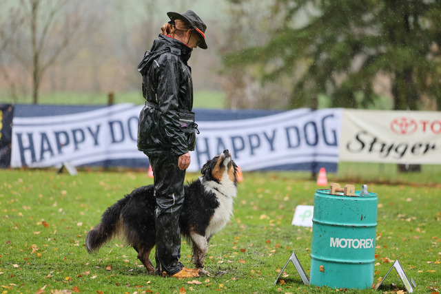 2025_Rally_Obedience_SM-140 | Ich fotografiere Hundeausstellungen, Sportanlässe, Zuchtstätten, Hundezucht, Hundeportrait, Lagotto - Realisiert mit Pictrs.com