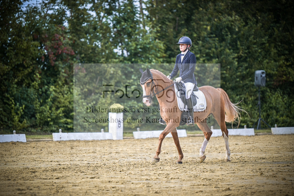 DOS_9971 | Entdecke hochwertige Reitturnierfotos von Foto Oger. Professionell, emotional und authentisch – jetzt Lieblingsmomente im Shop bestellen.Deutschlandweite Turnierfotografie. - Realisiert mit Pictrs.com