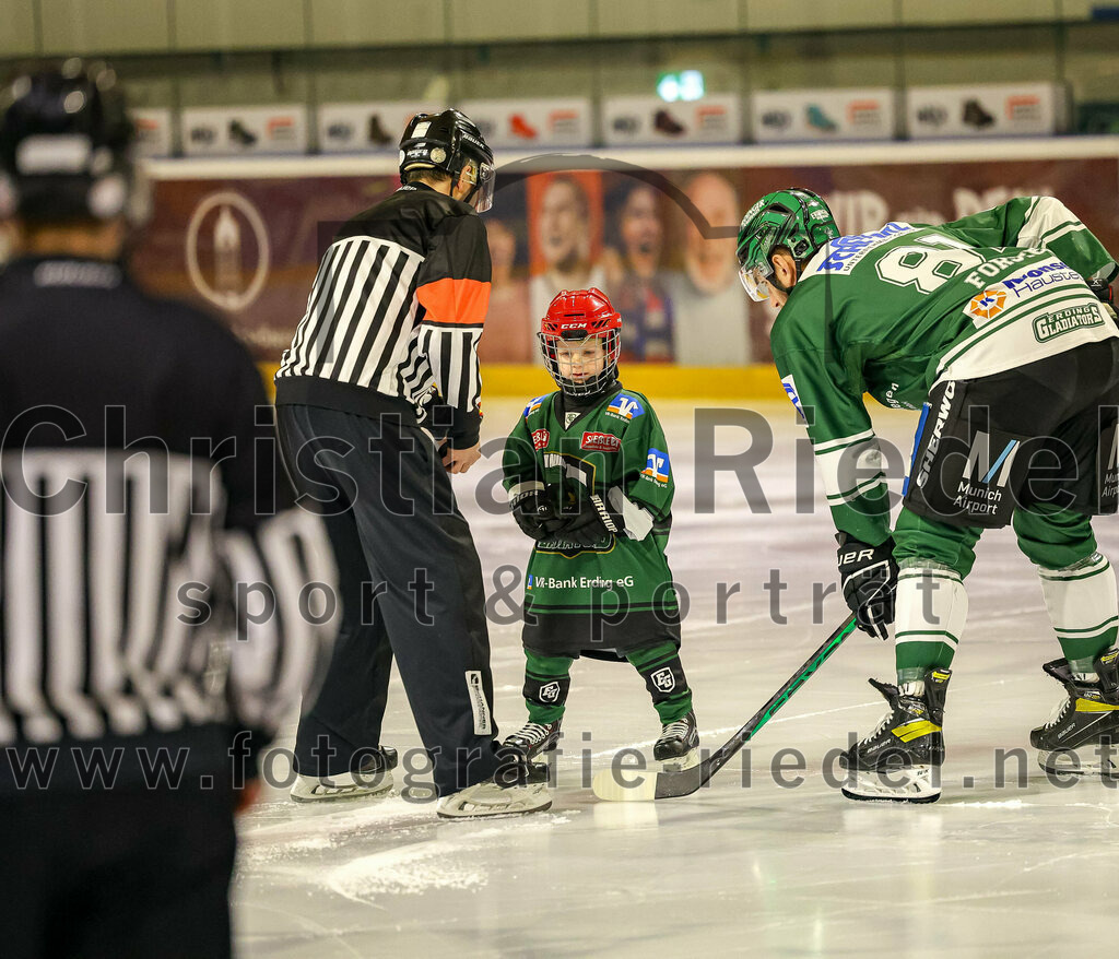 2024-01-05_005_TSV_Erding_gegen_VfE_Ulm-Neu-Ulm | Erding, Deutschland, 05.01.2024:
Eishockey, Bayernliga Vorrunde 2023 / 2024, 22. Spieltag, TSV Erding gegen VfE Ulm/Neu-Ulm, Endergebnis: 7:6

Maximilian Forster (Erding Gladiators, #81)

Foto: Christian Riedel / fotografie-riedel.net