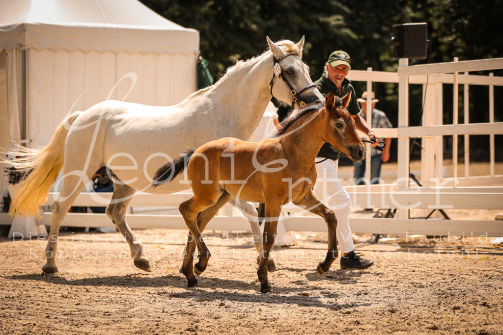 02.DoSR00165 | Leoni Ertmer Photography - Realisiert mit Pictrs.com