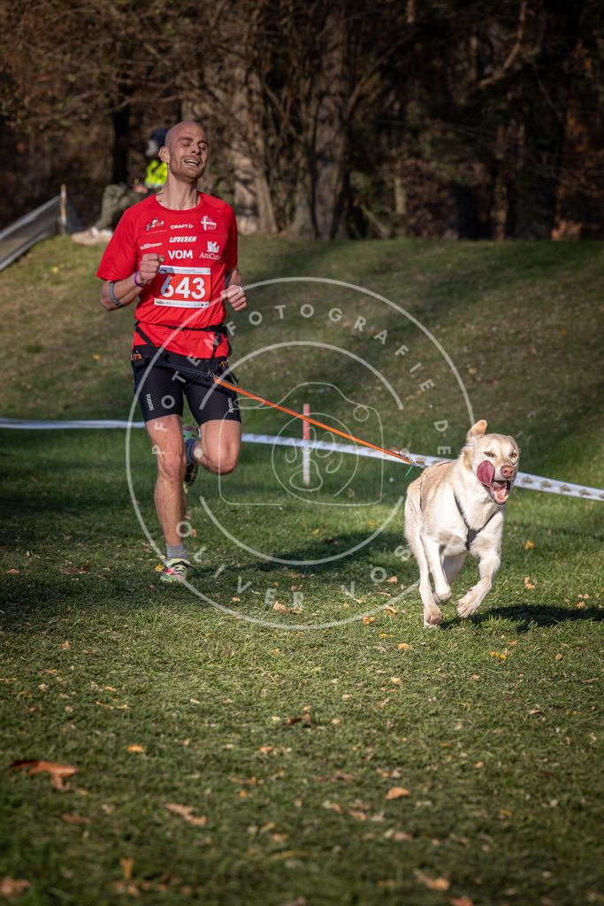 CaniXpix_0L8A9067 | Hundefotografie, Tierfotograf, Pfotenfotografie, Fotoshooting Hund, Hunde Portrait, Hundesport, Hundeportraits, Heideshooting, Hunde, Sportfotograf, Hundefotograf, Turnierhundsport, THS,  - Realisiert mit Pictrs.com