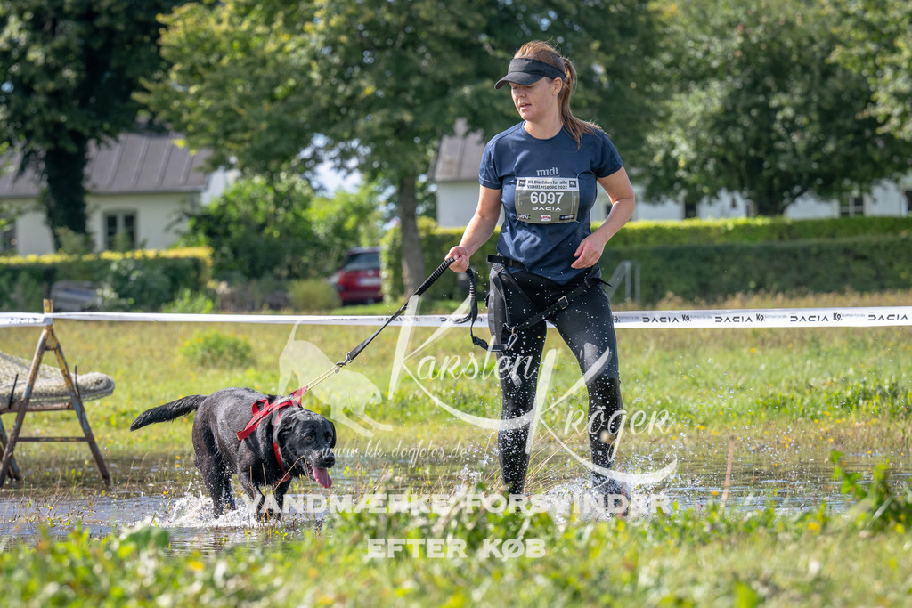1133_ZZ90116 | kk-dogfotos