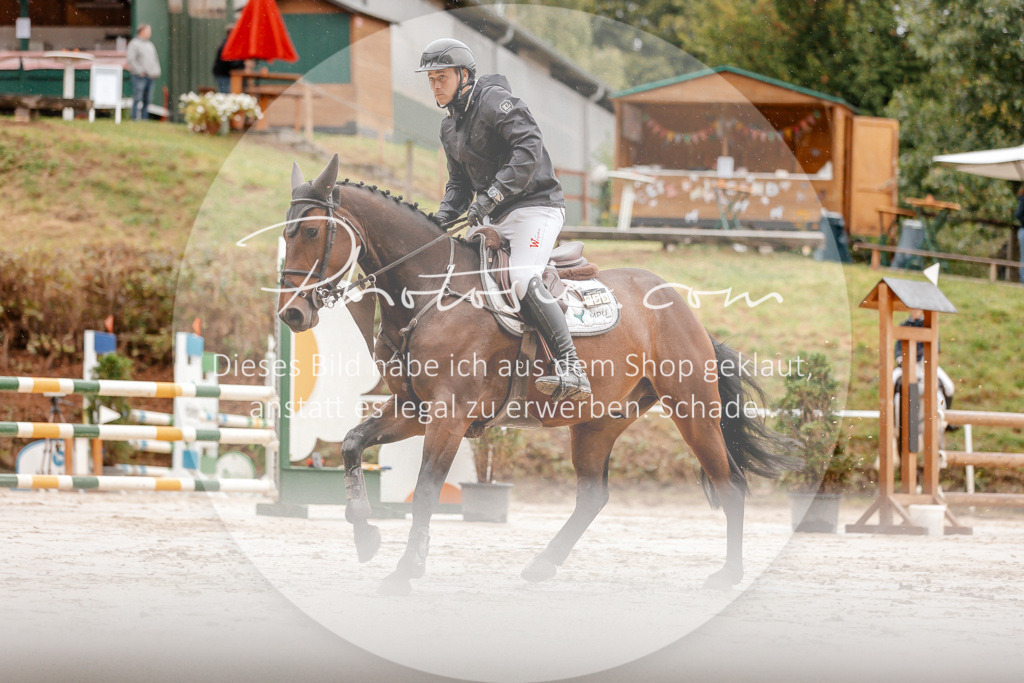 3I6A5923 | Stimmungsvolle Portraits und Reitsportfotografie im Ruhrgebiet und im Münsterland.

Pferdefotografie, Hundefotografie, Tierfotografie, Reportagen, Portraits von Tier und Mensch, Turnierfotografie in Bochum, Recklinghausen, Marl, Haltern am See, Dülmen.. - Realisiert mit Pictrs.com