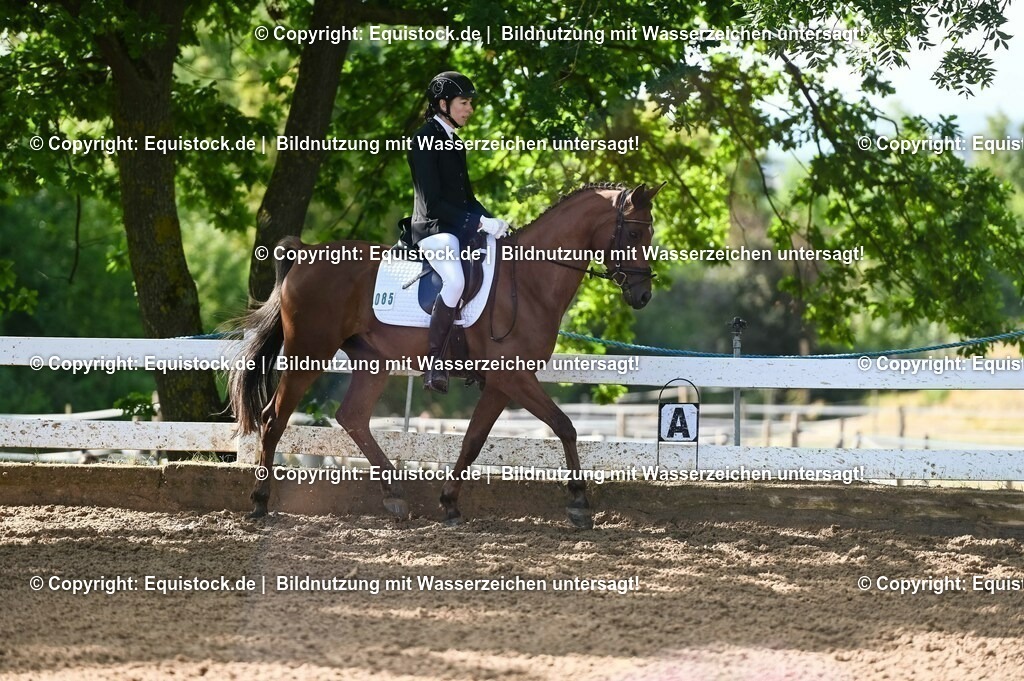 20230716_04_Dressurreiterprüfung Kl.A_0171 | equistock