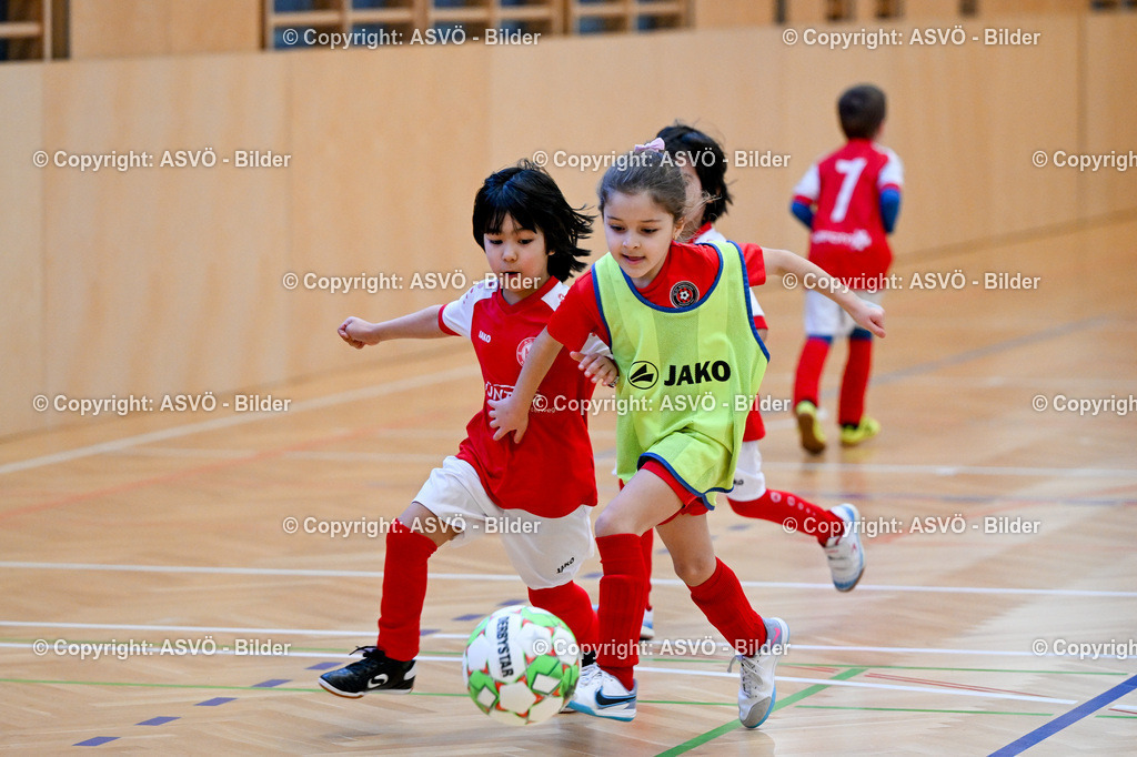 ASVÖ_ Fussballturnier SV Gallneukirchen_ 08.02.2025-49 | 08.02.2025, Gallneukirchen, AUT, ASVÖ, Fussball Nachwuchs Hallenturnier 2025, SV Gallneukirchen im Bild Teilnehmer U 7©Harald Dostal / fodo.media - Realisiert mit Pictrs.com