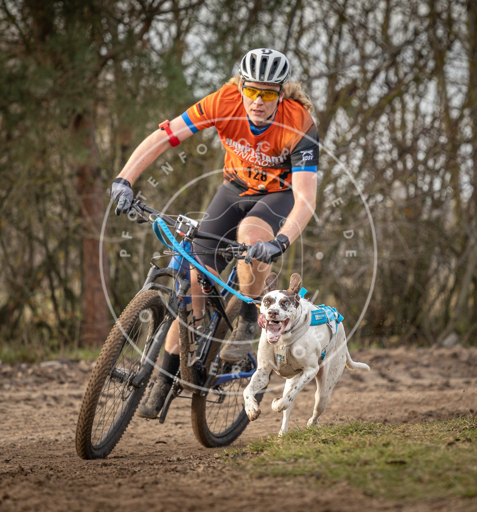 Pfotenfotografie_DV3A8194 | Hundefotografie, Tierfotograf, Pfotenfotografie, Fotoshooting Hund, Hunde Portrait, Hundesport, Hundeportraits, Heideshooting, Hunde, Sportfotograf, Hundefotograf, Turnierhundsport, THS,  - Realisiert mit Pictrs.com