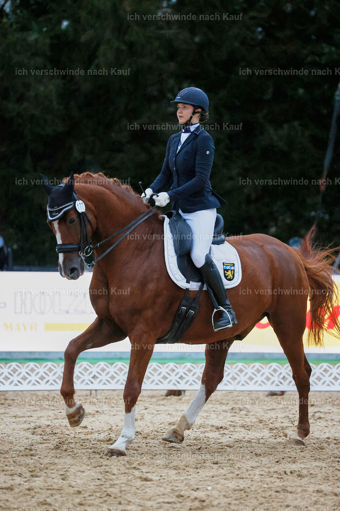 04_2-177-Dressur M__ -StoibPH-3033 | working equitationturnier fotograf videograf stoibphotography marixx film working equitation deutschland reitsport turnierfotografie eventfotografie equestrian events