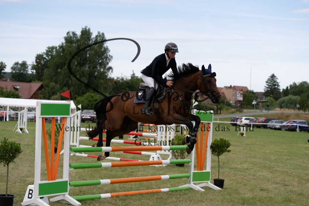 A7V01293 | Pferdefotograf