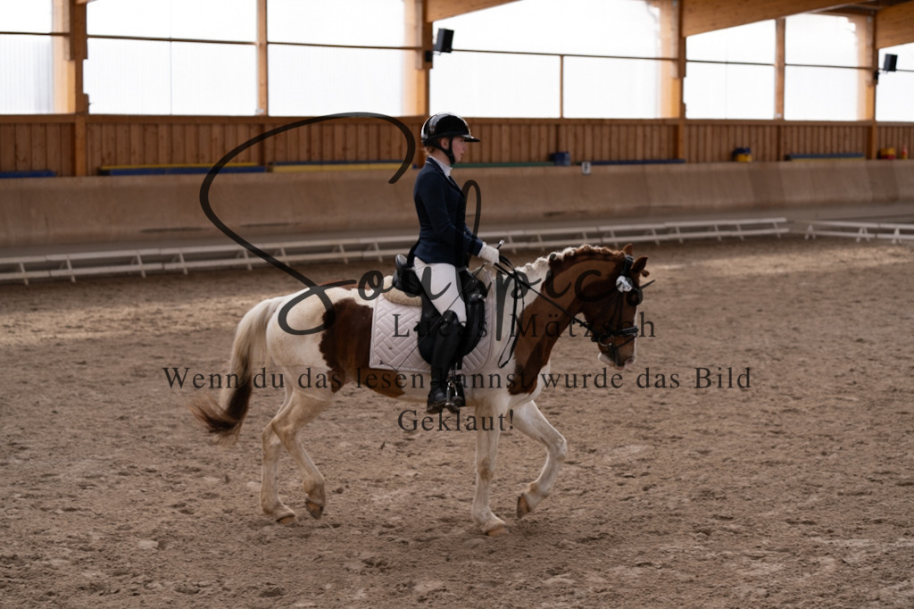 A7V09365 | Pferdefotograf