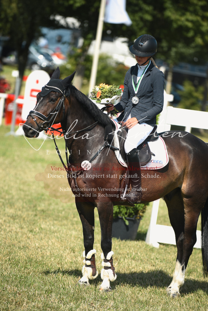 DSC_2618 | Pferde- und Turnierfotografie in Westsachsen. Pferdeportraits, Auftragszeichnungen und intuitive Kunst.