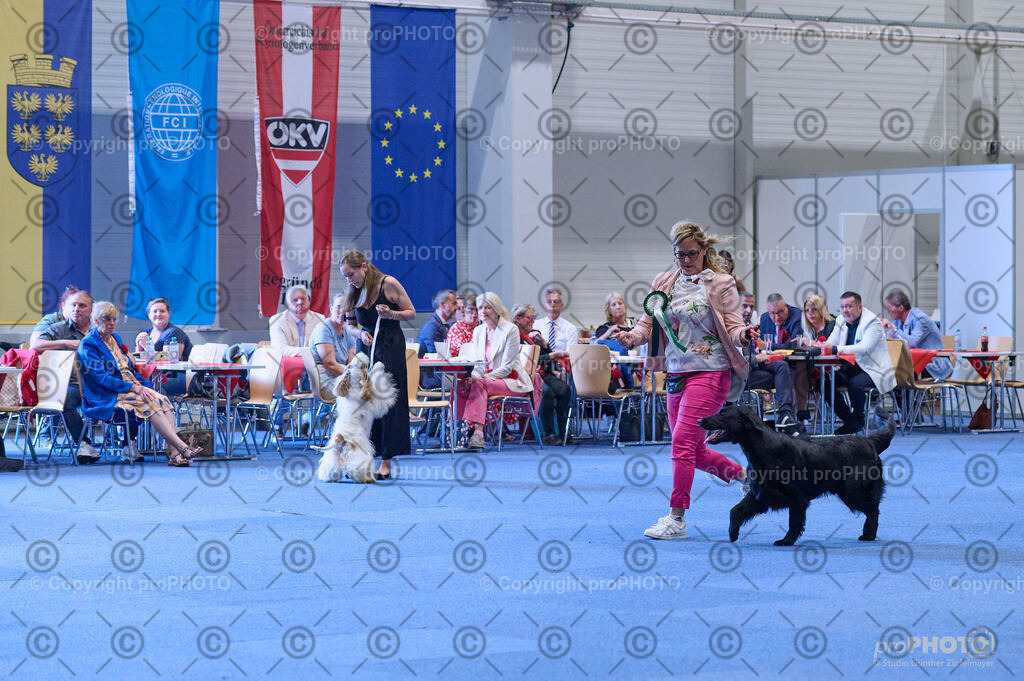 202406_ÖKV-IHA-Tulln24_DSC_4155 | proPHOTO - Realisiert mit Pictrs.com