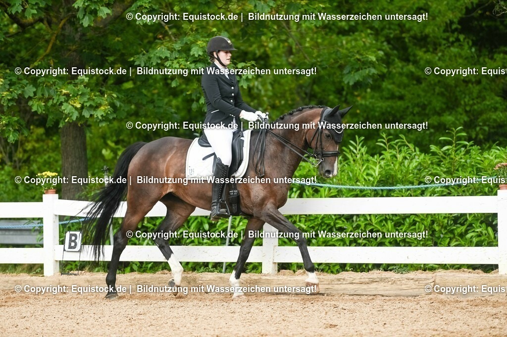 20230716_01_Dressurprüfung Kl.M_0509 | equistock