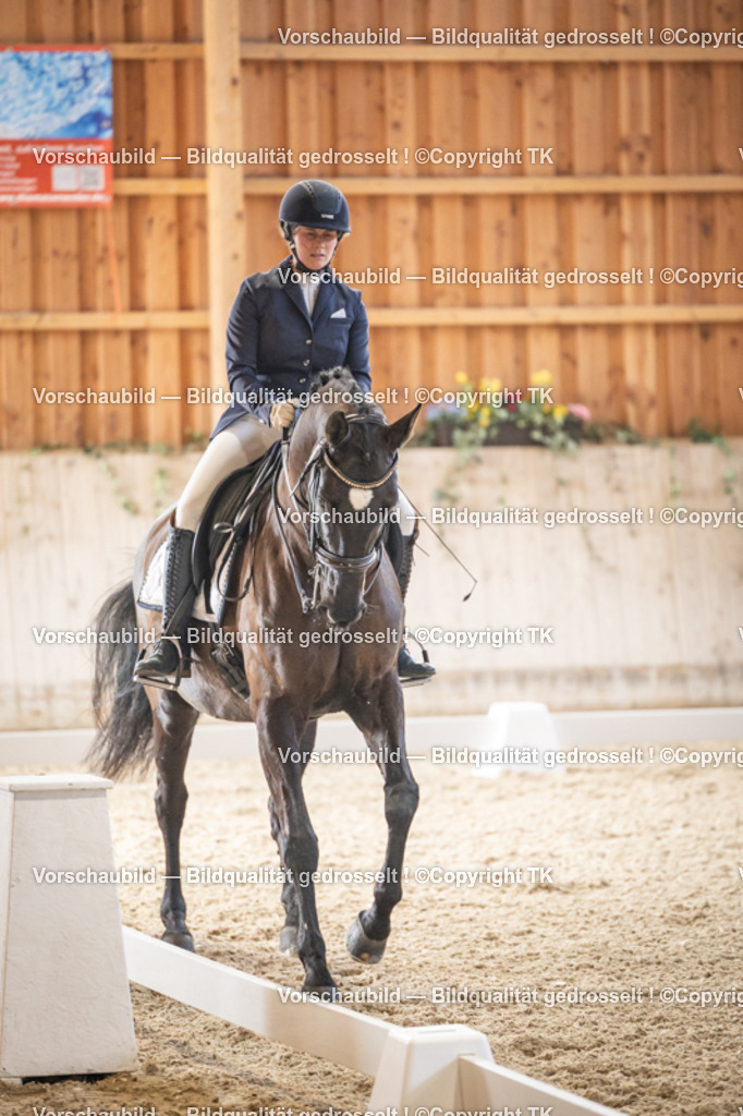 _D5A8890 | Emotionale Pferde- & People-Fotografie rund um Heidelberg, Leimen & Umgebung. Natürliche Fotos von Pferd, Mensch & Familie. Jetzt Termin sichern!