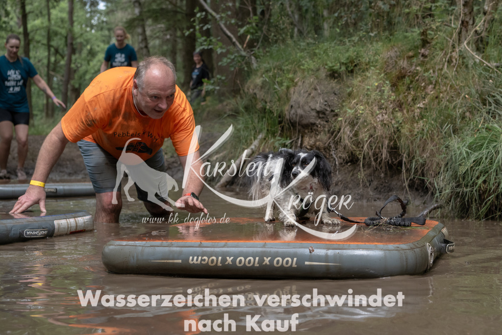 1346_ZZ95866 | kk-dogfotos