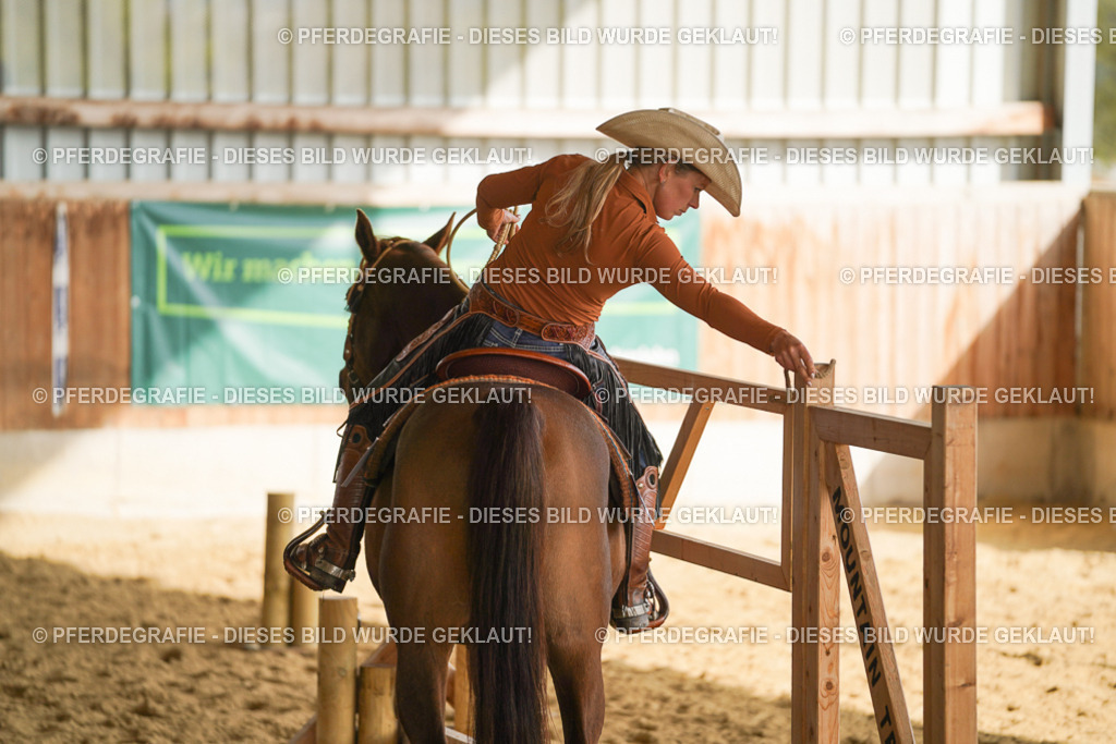 DSC01091 | Pferdegrafie