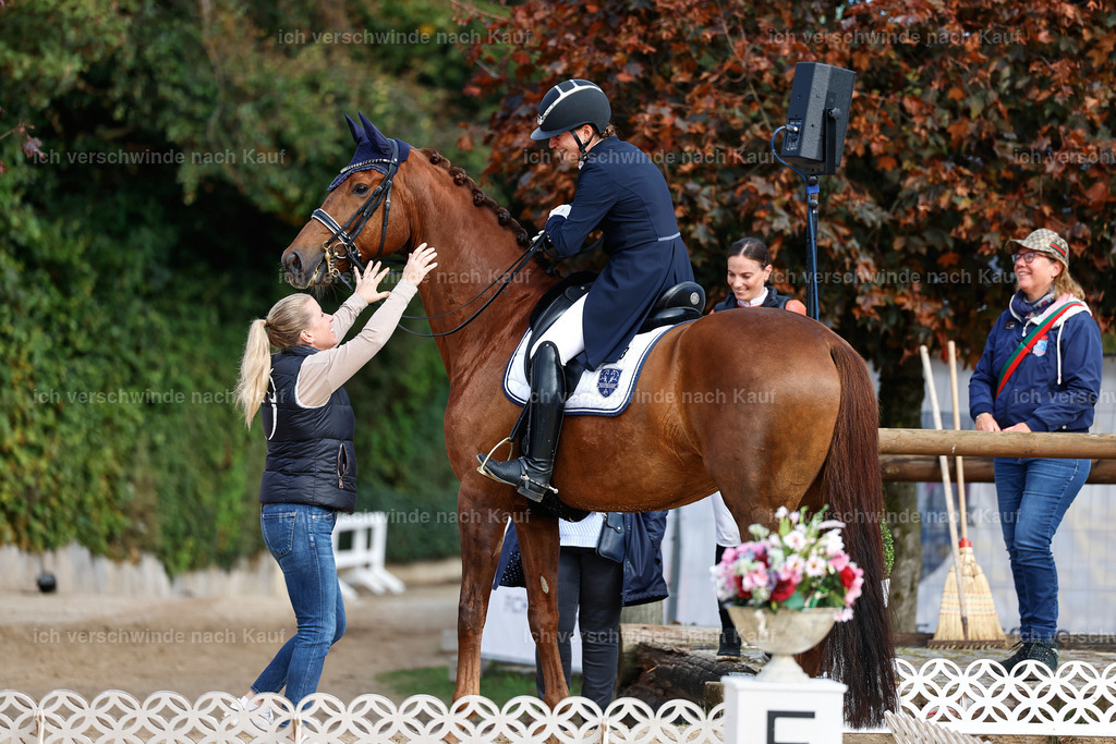 6-143-AMATUER-DRESSUR S_  -StoibPH-3444 | working equitationturnier fotograf videograf stoibphotography marixx film working equitation deutschland reitsport turnierfotografie eventfotografie equestrian events