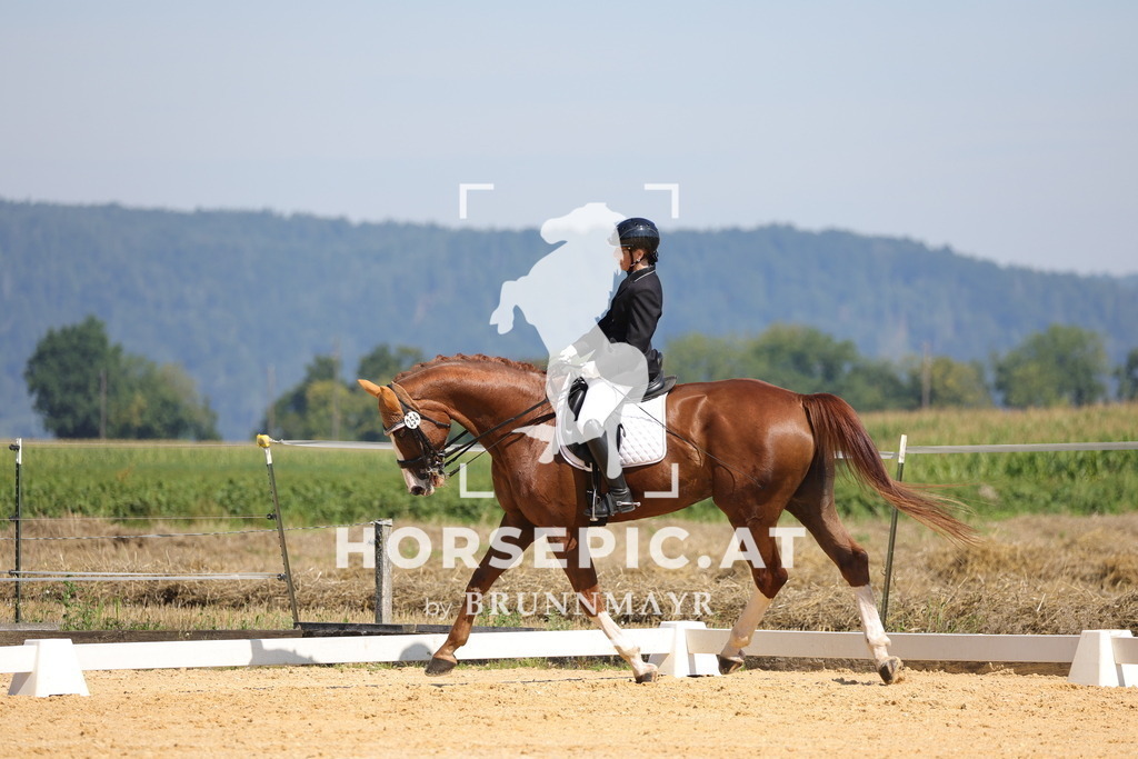 0P6A9596 | Willkommen bei Brunnmayr - Design & Fotografie – Ihrem Spezialisten für Reitturniere und Pferdeveranstaltungen in Oberösterreich, Salzburg und Bayern! Seit über 17 Jahren sind wir leidenschaftlich dabei.