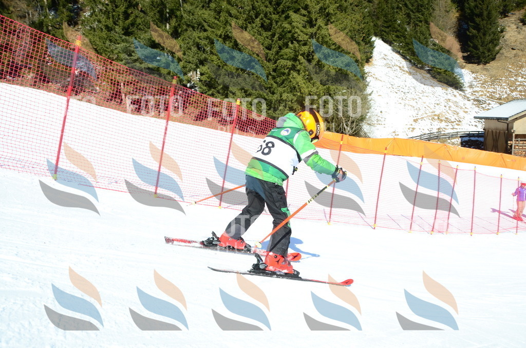 C5459 | holidayphoto