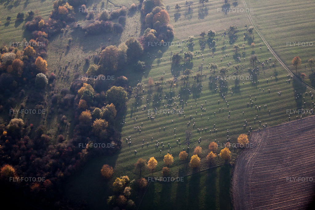 Luftbild: Ortsansicht in Lembach im Bundesland Bas-Rhin in Frankreich. Foto: IMG_54082.jpg vom 21.10.2012 durch Werner Riehm/FLY-FOTO.de
