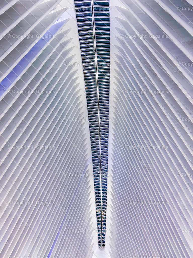 New York | Entdecken Sie originelle Wandkunst auf Leinwand und Acrylglas sowie eine Vielzahl von Fotogeschenken und stockvideos in unserem Online-Shop. Dekorieren Sie Ihr Zuhause mit einzigartigen Kunstwerken und persönlichen Erinnerungen. Perfekt auch als Geschenk.