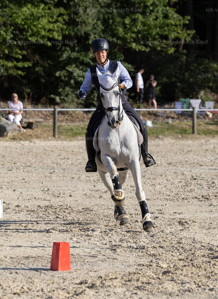 WS_SPEED_57_KerstinBernhardt-13 | working equitationturnier fotograf videograf stoibphotography marixx film working equitation deutschland reitsport turnierfotografie eventfotografie equestrian events