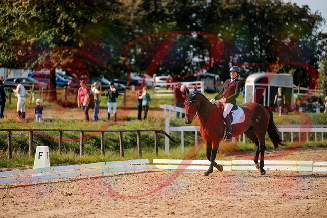 2026_10_03_Siefer-Hof_130342_Z63_65978797 | Professionelle Reitsport-, Turnier- und Eventfotografie von Robert Broda. Galerien mit ausgewählten und bearbeiteten Bildern direkt online ansehen und bestellen.
