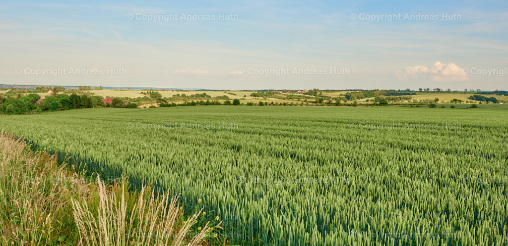 Blick nach Mischwitz zwischen Seebschütz und Jesseritz | Bedeutsame Landschaften Deutschlands - Realisiert mit Pictrs.com
