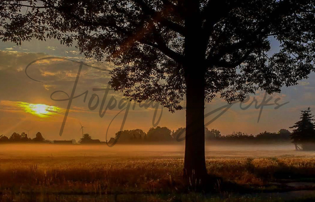 Bilder Homepage-66 | fotografie-derks - Realisiert mit Pictrs.com