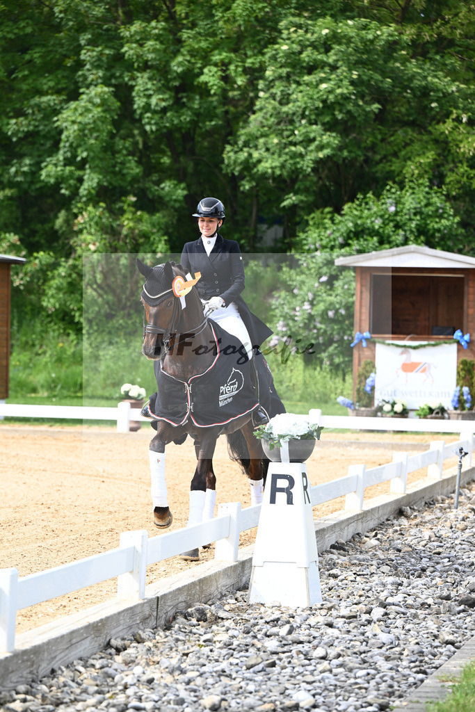 Giner_Donna Erika_12241748 | hf-fotografie - Realisiert mit Pictrs.com