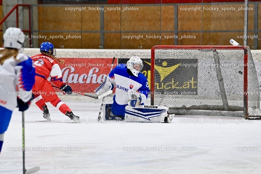 BST_5784 | hockey sports photos, Pressefotos, Sportfotos, hockey247, win 2day icehockeyleague, Handball Austria, Floorball Austria, ÖVV, Kärntner Eishockeyverband, KEHV, KFV, Kärntner Fussballverband, Österreichischer Volleyballverband, Alps Hockey League, ÖFB, 