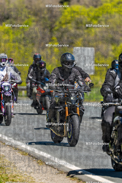 MSFotoServiceXXX384 | MSFotoService - Realisiert mit Pictrs.com