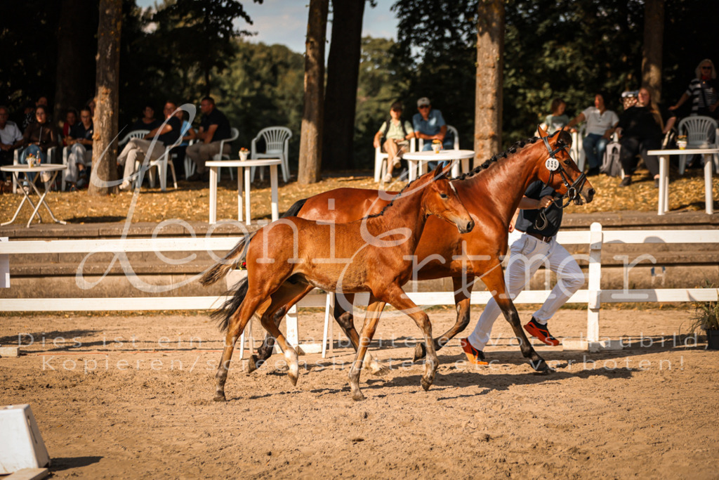 11.DoRP00119 | Leoni Ertmer Photography - Realisiert mit Pictrs.com