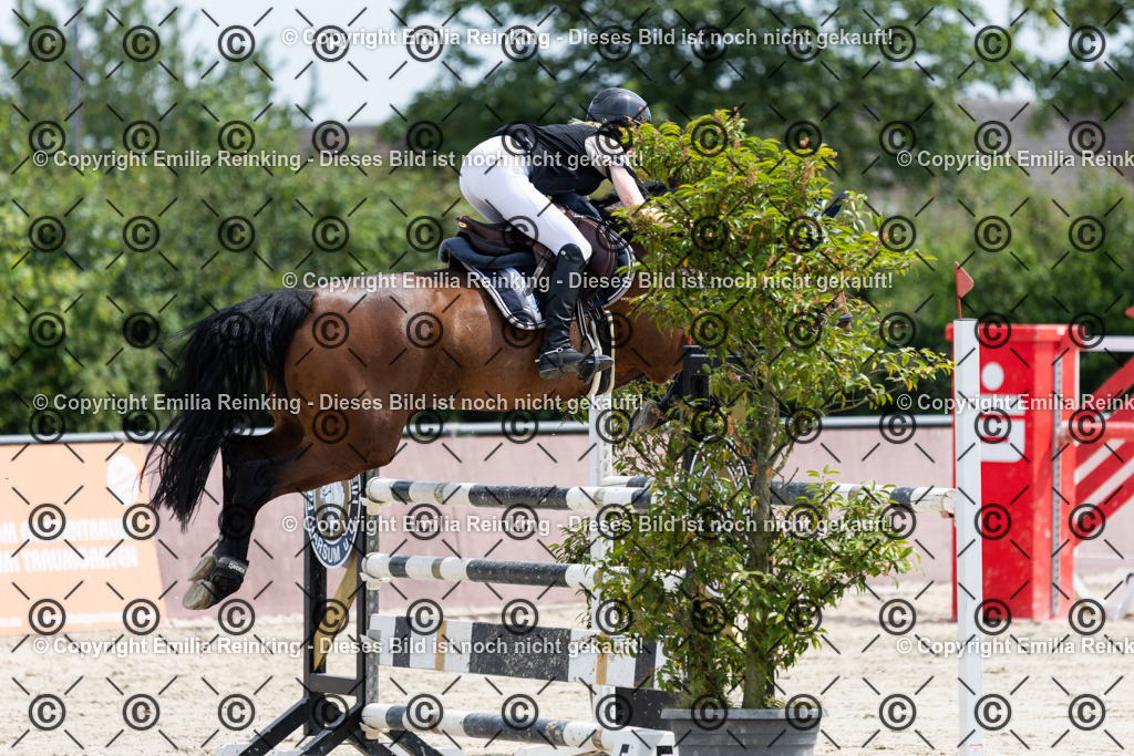 CL5A4011 | Emilia Reinking Fotografie - Realisiert mit Pictrs.com