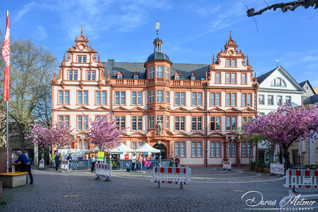 Das Marktfrühstück in Mainz | Das Marktfrühstück in Mainz auf dem Liebfrauenplatz