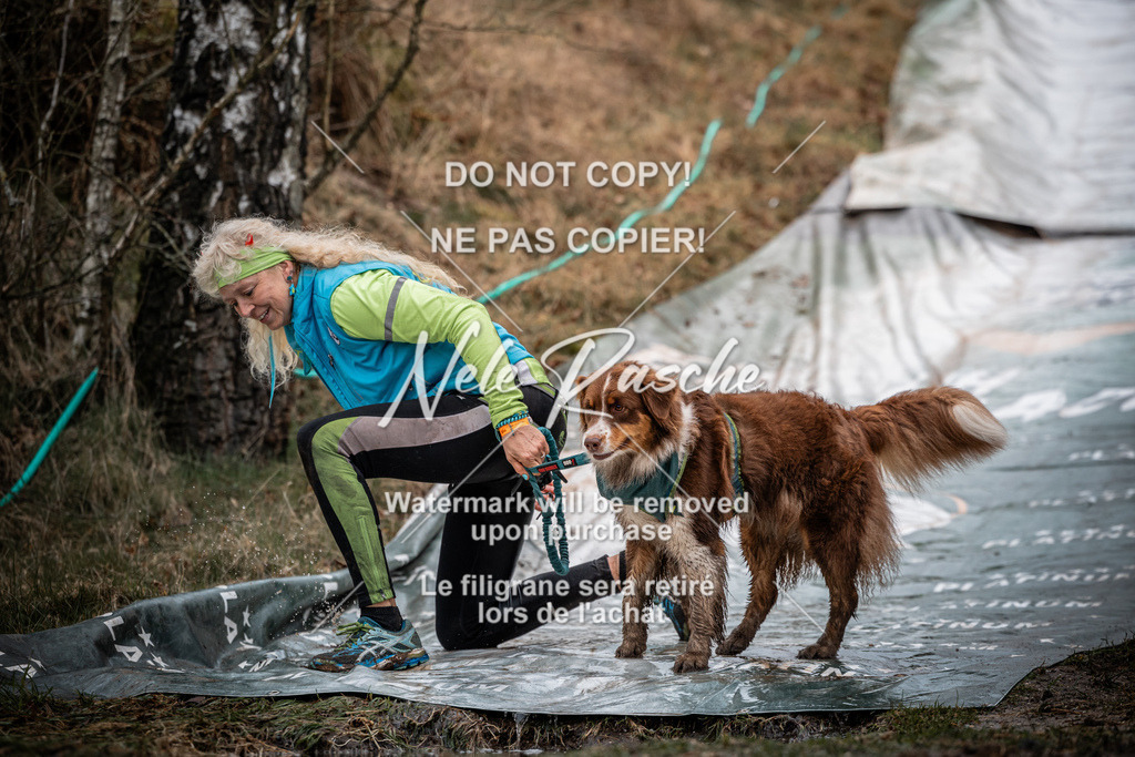 nelerasche_1230-1300_189 | nelerasche