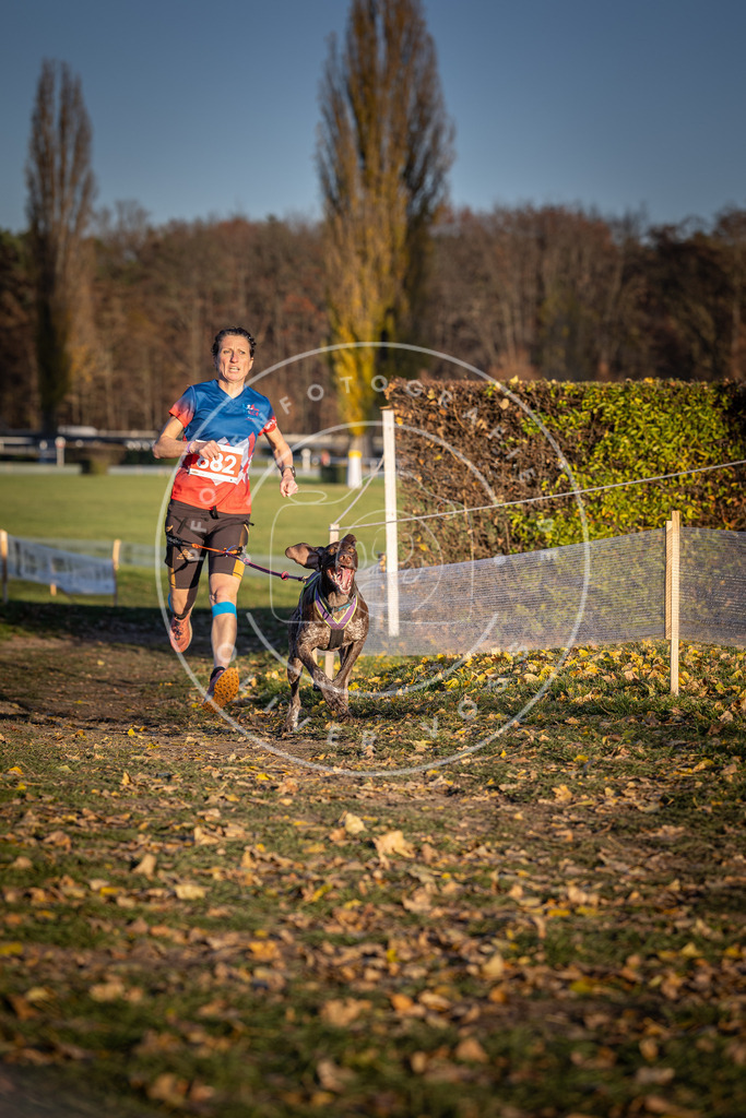 CaniXpix_DV3A4359 | Hundefotografie, Tierfotograf, Pfotenfotografie, Fotoshooting Hund, Hunde Portrait, Hundesport, Hundeportraits, Heideshooting, Hunde, Sportfotograf, Hundefotograf, Turnierhundsport, THS,  - Realisiert mit Pictrs.com