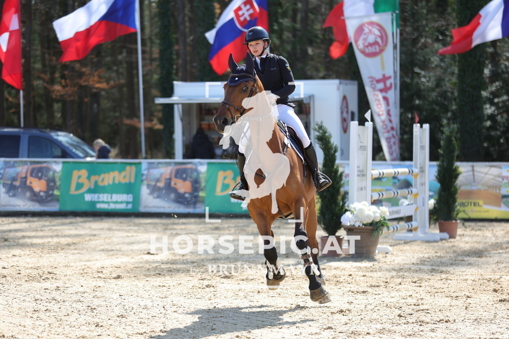 0P6A1522 | Willkommen bei Brunnmayr - Design & Fotografie – Ihrem Spezialisten für Reitturniere und Pferdeveranstaltungen in Oberösterreich, Salzburg und Bayern! Seit über 17 Jahren sind wir leidenschaftlich dabei.