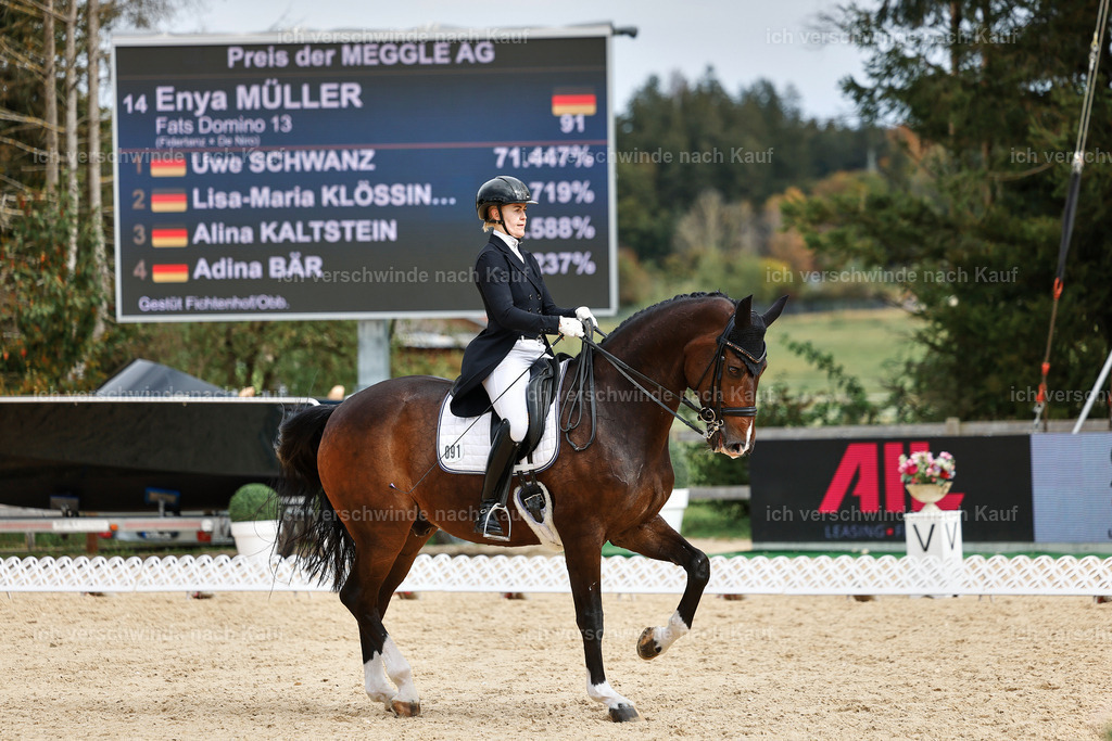 11-091-Dressur S___-StoibPH-1299 | working equitationturnier fotograf videograf stoibphotography marixx film working equitation deutschland reitsport turnierfotografie eventfotografie equestrian events