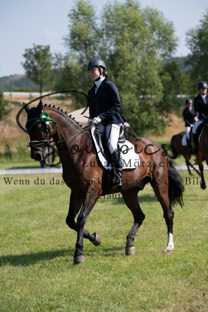 A7V09547 | Pferdefotograf