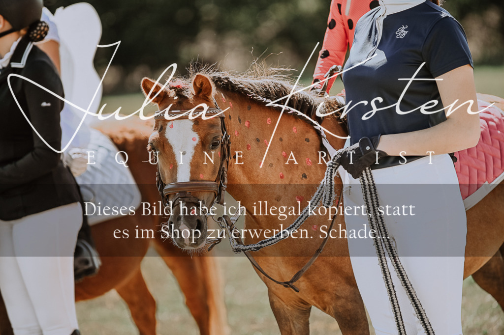 DSC_8941 | Pferde- und Turnierfotografie in Westsachsen. Pferdeportraits, Auftragszeichnungen und intuitive Kunst.