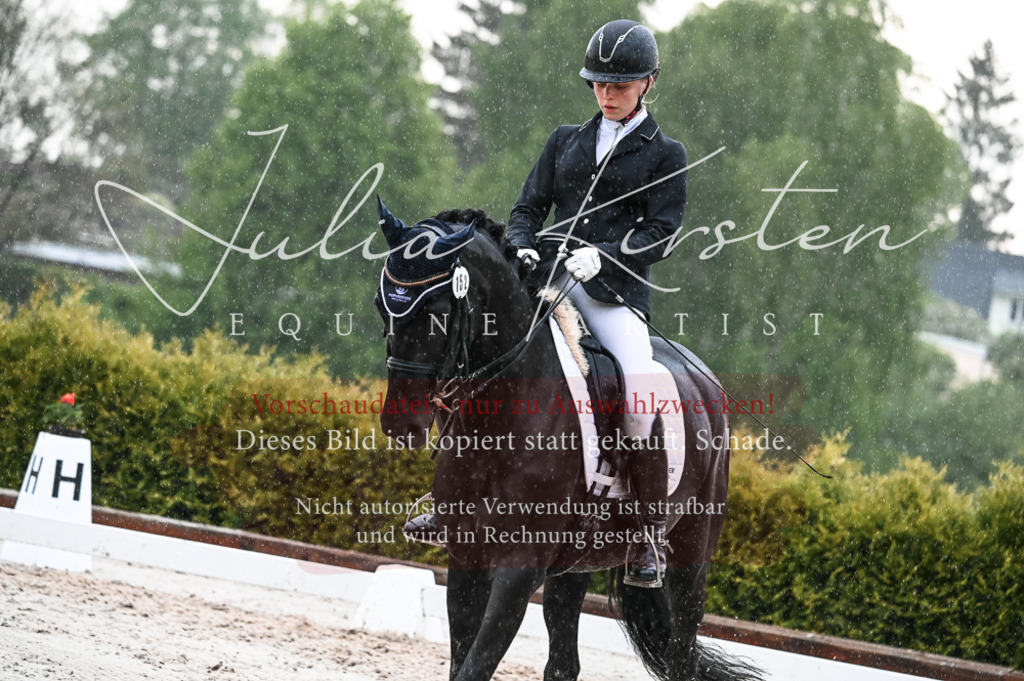 DSC_4733 | Pferde- und Turnierfotografie in Westsachsen. Pferdeportraits, Auftragszeichnungen und intuitive Kunst.