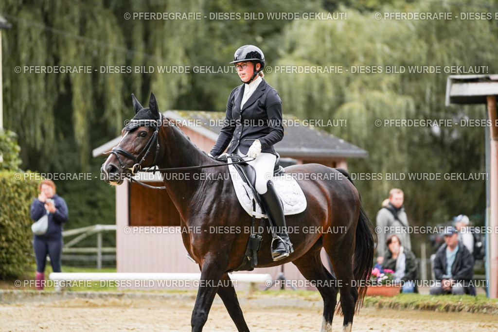 DSC06796 | Pferdegrafie