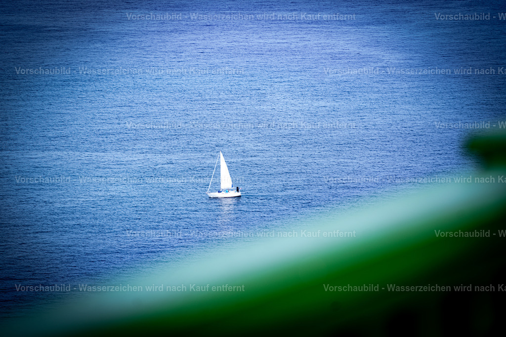 DSC02447 | marcuslinek