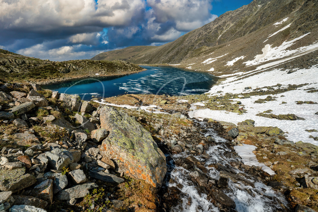 Taxer See | Der Taxer See