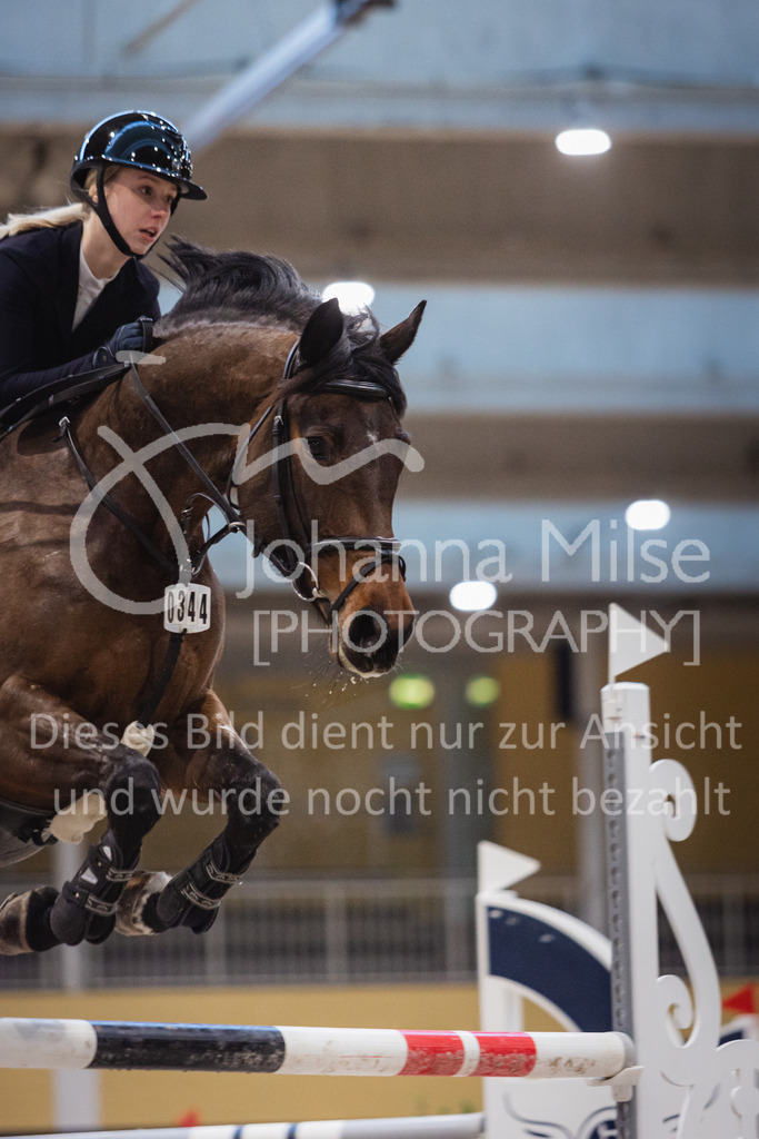 230210_Warstein_Stil-L-127 | Deine schönsten Turniermomente als professionelle Fotos! Entdecke hochwertige Pferdesport-Fotografie im Online-Shop. Jetzt Fotos finden & bestellen!