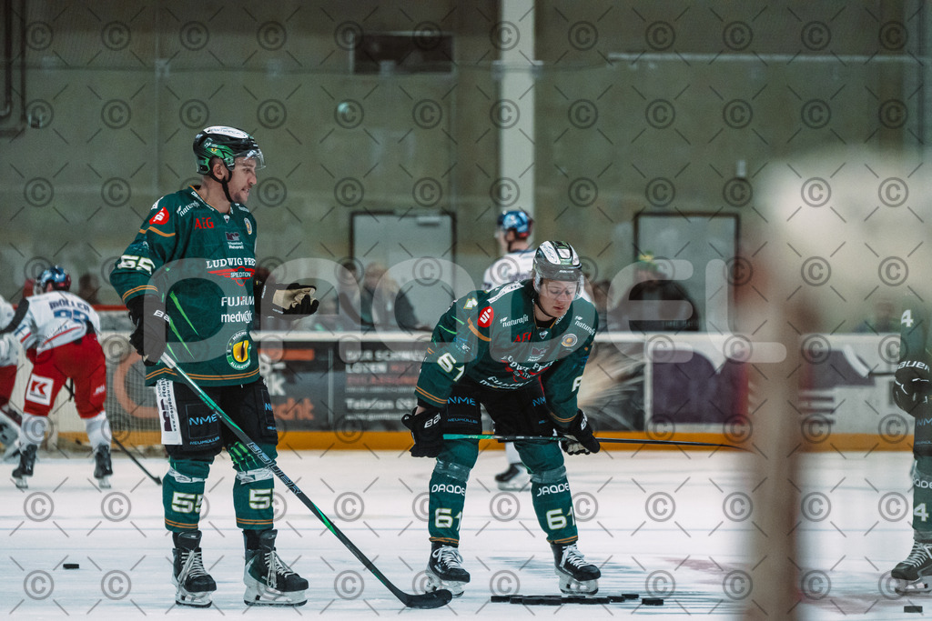 Alligators_vs_Selb_13_09_2026-07 | Die Fotogalerie von Daddel: professionelle Bilder von Sport, Events und Unternehmen aus Franken. Jetzt Galerien durchstöbern und Lieblingsfotos bestellen. - Realisiert mit Pictrs.com